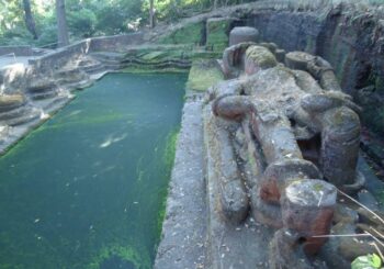 WILDLIFE AND ENVIRONMENT